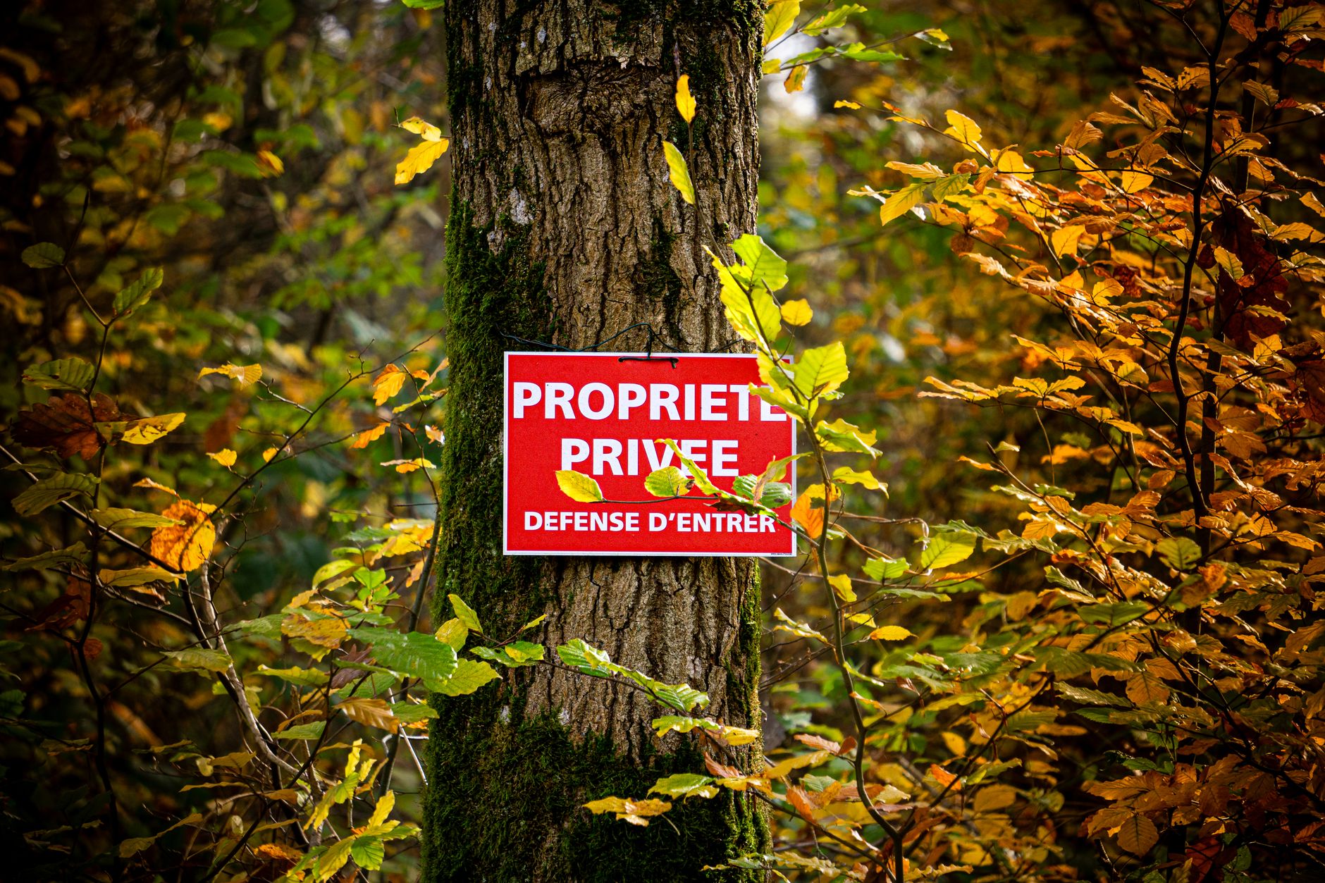 Détective privé à Saint-Paul